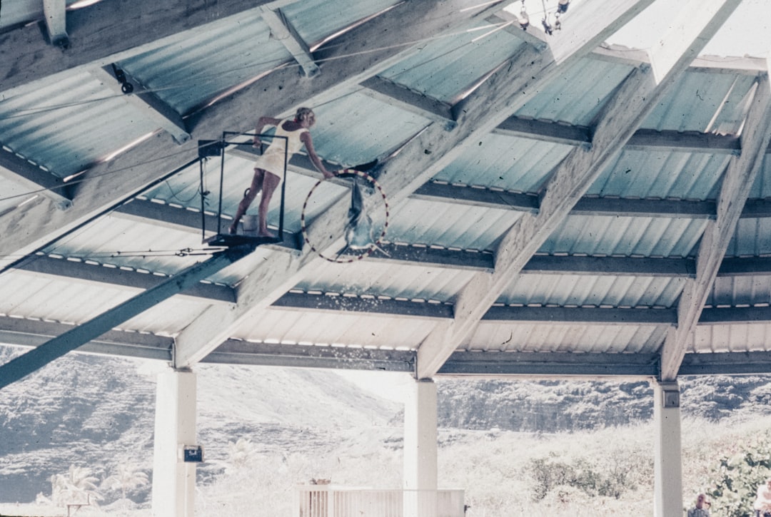 カーポートの屋根材を点検している専門業者