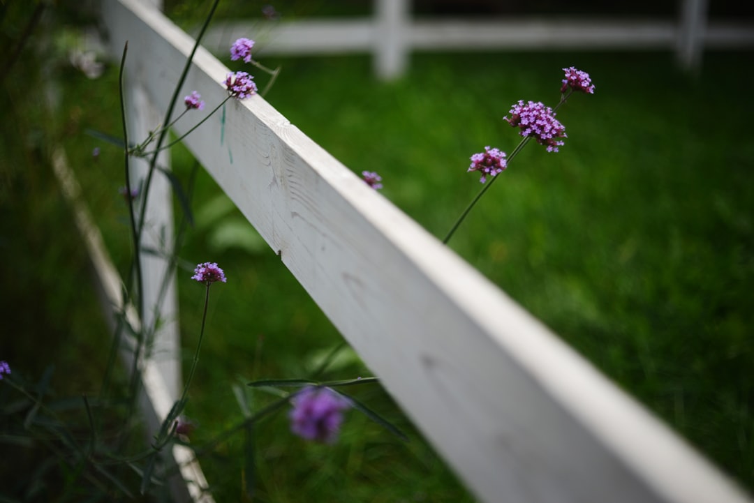 DIYでフェンスを設置している家族の様子