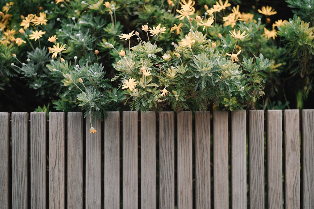 雪に覆われた外構フェンスの冬季の様子