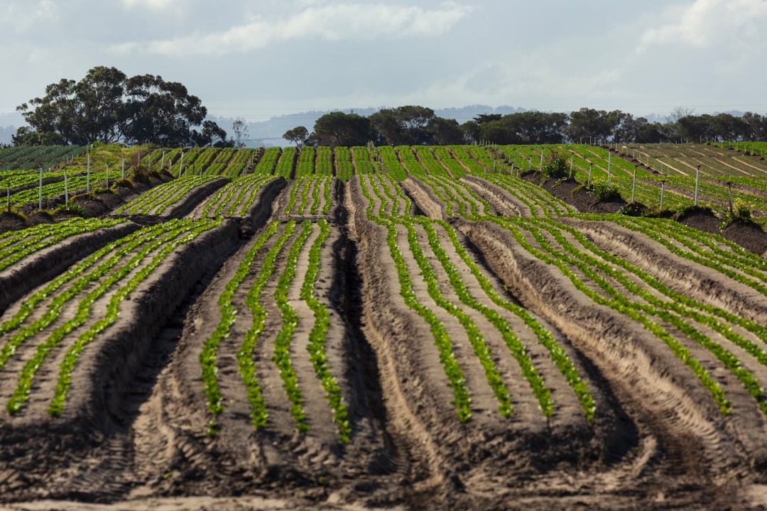 害虫駆除の資格証明書を確認している様子