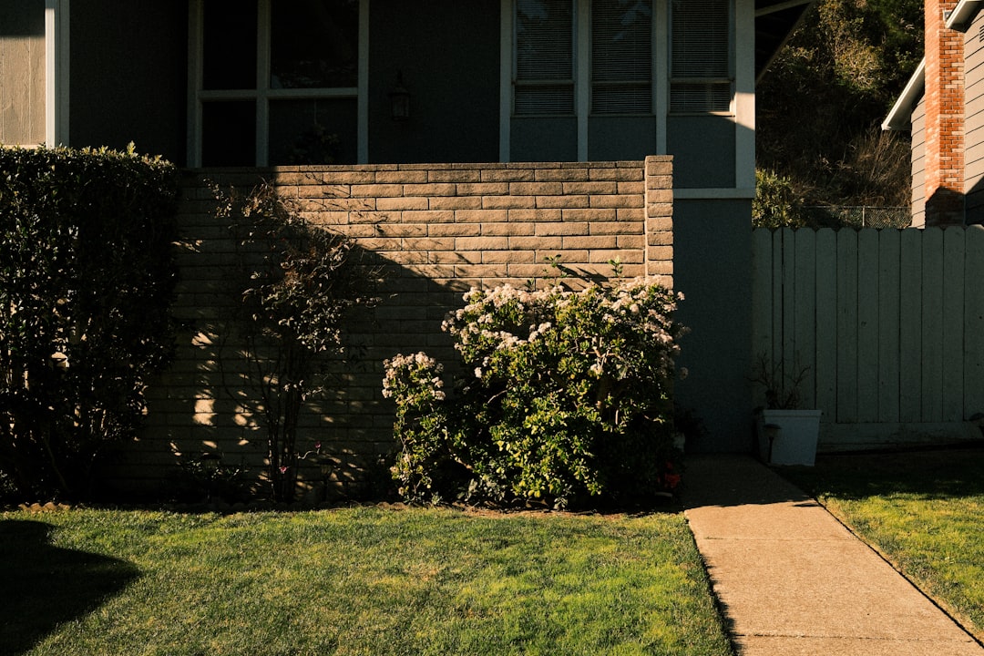 岩泉町の森林と住宅地の境界線で害獣対策フェンスが設置されている様子