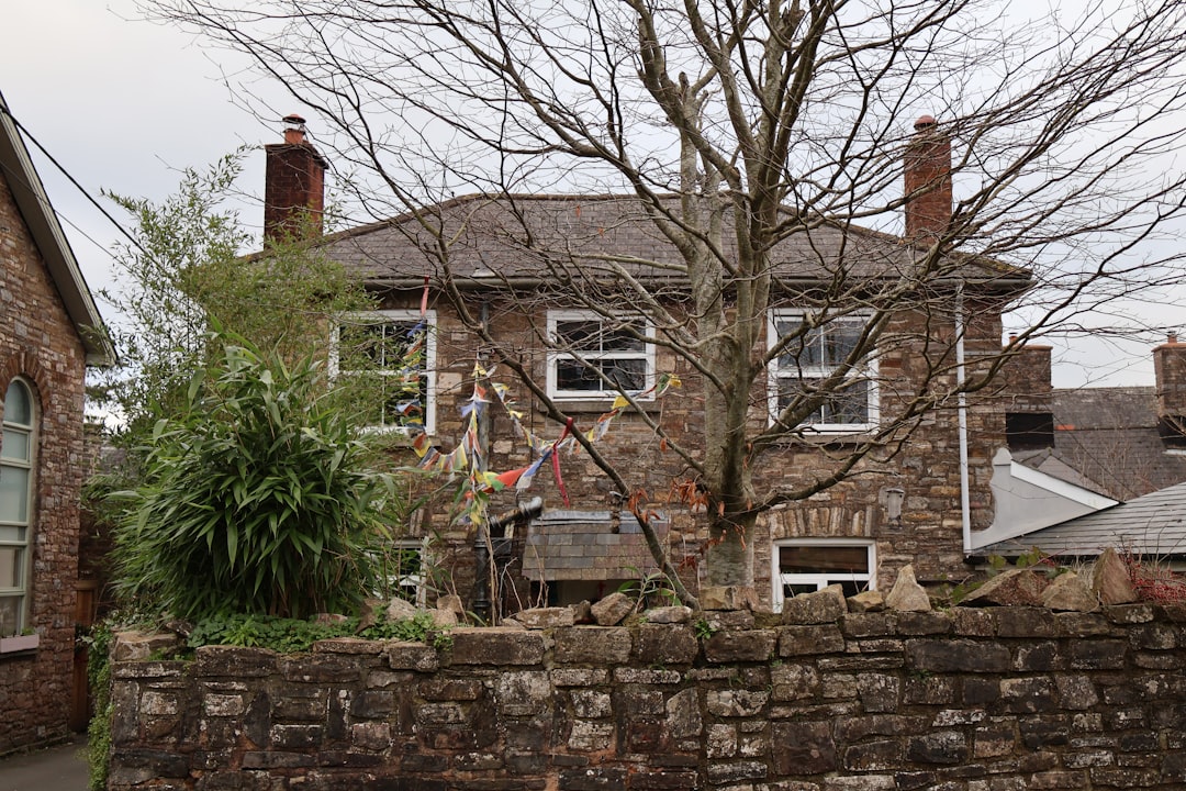 大槌町の住宅で害獣侵入防止のための隙間封鎖作業