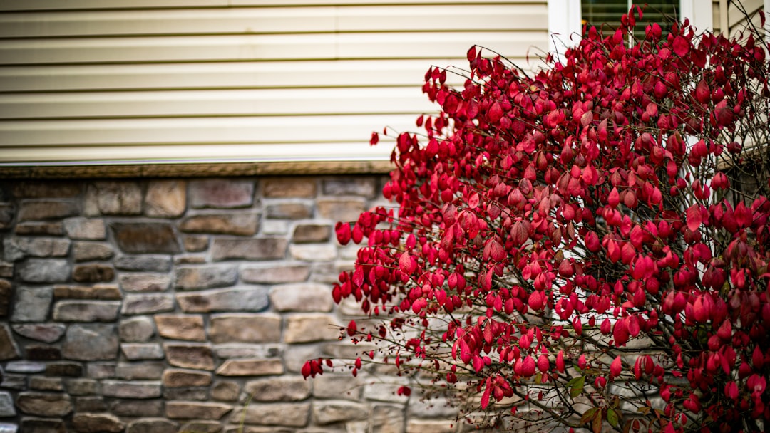 岩手県の住宅街で外壁修繕工事を行う業者の様子