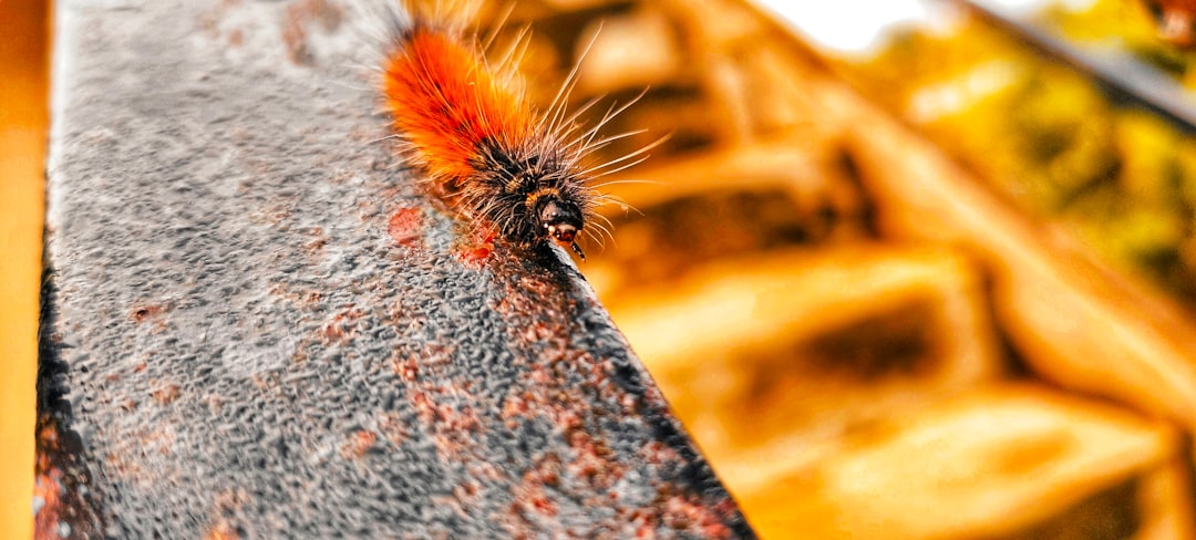 害虫駆除作業員が専門機器を使って作業している様子