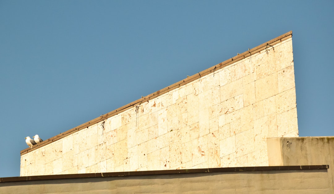 工事完了後の美しい屋根と外壁を持つ滝沢市内の住宅全景